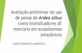 Avaliação preliminar do uso de penas de ardea albus como bioindicadores d e mercúrio em ecossistemas amazônicos