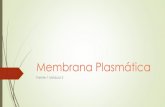 Frente 1 modulo 2 membrana plasmatica