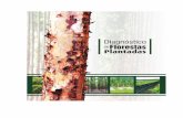 Diagnóstico de Florestas Plantadas de Mato Grosso
