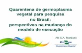 I WSF, Brasília - Abi S.A. Marques - Quarentena de germoplasma vegetal para pesquisa  no Brasil:  perspectivas na mudança do modelo de execução