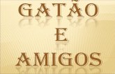 Fundao GatãO & Amigos