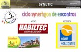 PROJETO SOCIAL NOVOS HORIZONTES em Synetic, Ciclo Synerhgon de Encontros