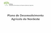 Plano de Desenvolvimento Agrícola do Nordeste
