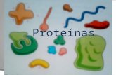 Algumas funções das proteínas