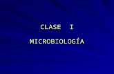 Historia microbiologia