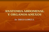 Anatomia abdominal y_organos_anexos[1]