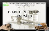 Diabete Mellitus em cães