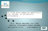 OS CASOS MAIS COMUNS DE ODONTOLOGIA  NA  ROTINA  DE UM HOSPITAL VETERINÁRIO