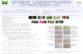 Contribuição à caracterização polínica de espécies ornamentais e frutíferas da família Rosaceae Juss.