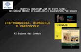 Criptorquidia / Varicocele / Hidrocele