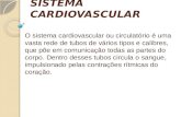 Sistema cardiovascular e sangue