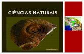 Ciências naturais 7   história da terra - escala do tempo geológico
