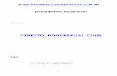 Apostila processual civil_ribeiro