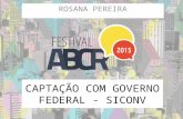 Festival 2015 - Captação com Governo