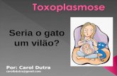 Toxoplasmose: Seria o gato um vil£o?