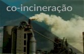 Co incineração