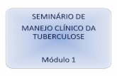 Seminário de manejo clínico da tuberculose