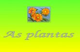 As partes de_uma_planta