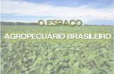 Agropecuária Brasileira - Geografia