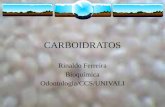Carboidratos 2012