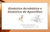 Trabalho de ginástica e aparelhos - Aconsa