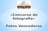 Concurso de fotografia - Vencedores