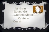 As duas flores de Castro Alves