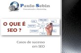 Otimização de Sites SEO - sucessos Paulo Sebin