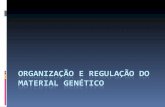 Organização e regulação do material genético