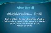 Vive Brasil Presentacion