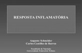 Resposta inflamatória-parte-1