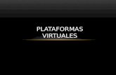 Plataformas virtuales 17 34 1102