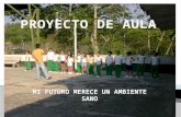 Proyecto de aula  ITA Guadalupe 2011