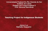 Apresentação estagio II indigenas