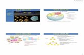 03 citologia   ciclo celular e gametogenese