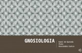 Gnosiologia 21 mp