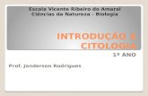 Aula de Biologia - Introdução a Citologia