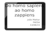 Do Homo Sapiens ao Homo Zappiens