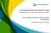 VII Fórum IBEF de Óleo e Gás - Situação atual e perspectivas para o Setor | CEO José Sergio Gabrielli de Azevedo