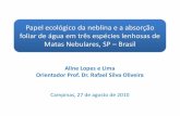 Papel ecológico da neblina e a absorção foliar de água em três espécies lenhosas de Matas Nebulares, SP - Brasil