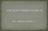 Anexos embrionario (fil_eminimizer)_[1]