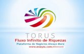Torus Circles | Fluxo Infinito de RiquezasTorus1