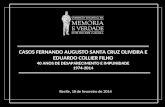 Apresentação Caso Fernando Santa Cruz