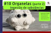 #10 organelas - ingestão de substâncias - abr2015
