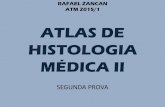 Atlas de histologia médica ii