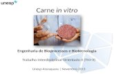 TIO II - Carne In Vitro