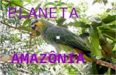 Nossa Amazônia- AMT