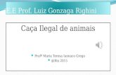 Caça ilegal-de-animais-salvo-automaticamente (2)