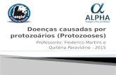 Doenças causadas por protozoários (protozooses) 3º ANO