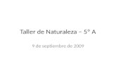 Taller De Naturaleza – 5º A